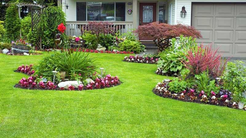 Commercial Landscaping Sydney Services